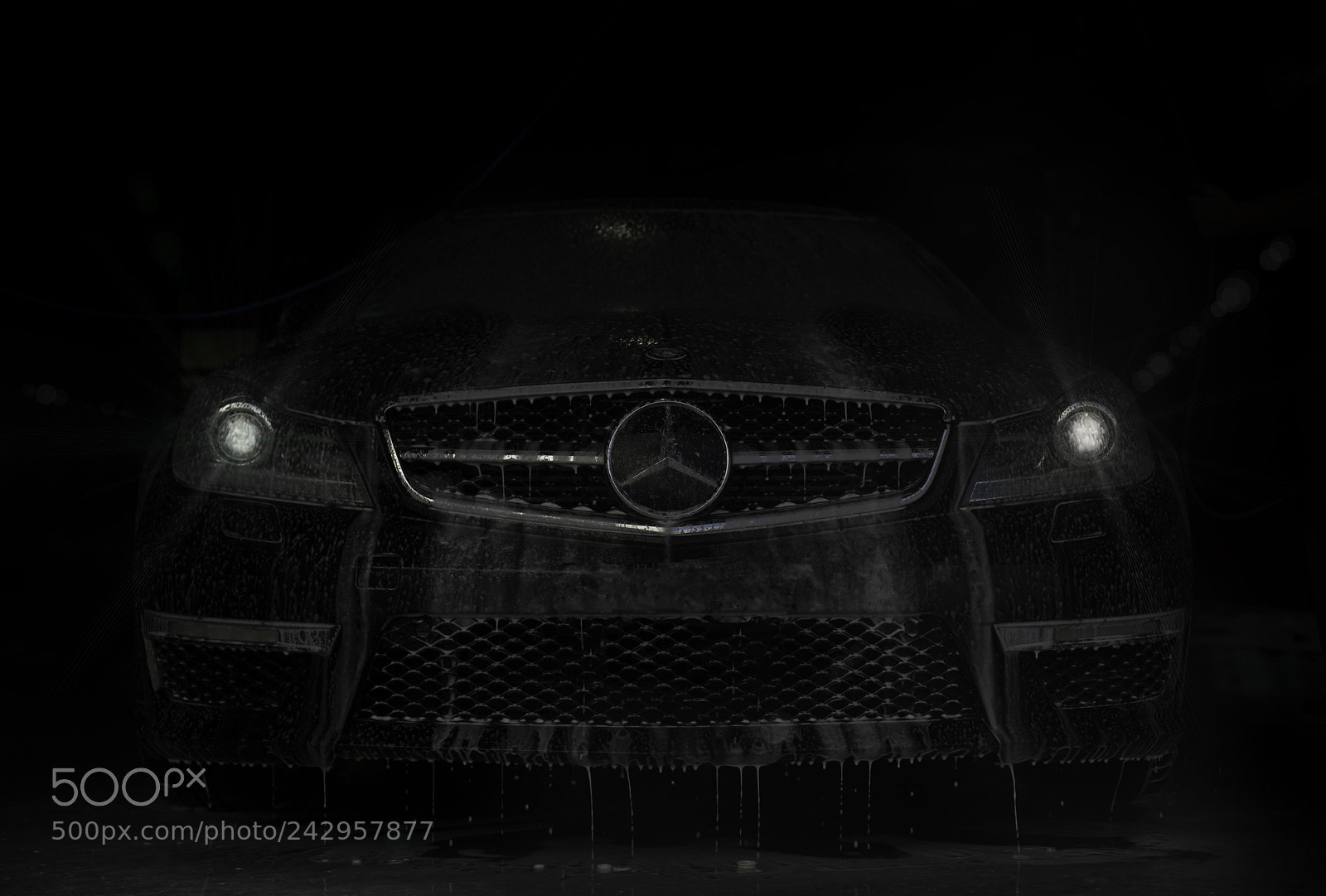 Sony a7 sample photo. The beast awaking photography