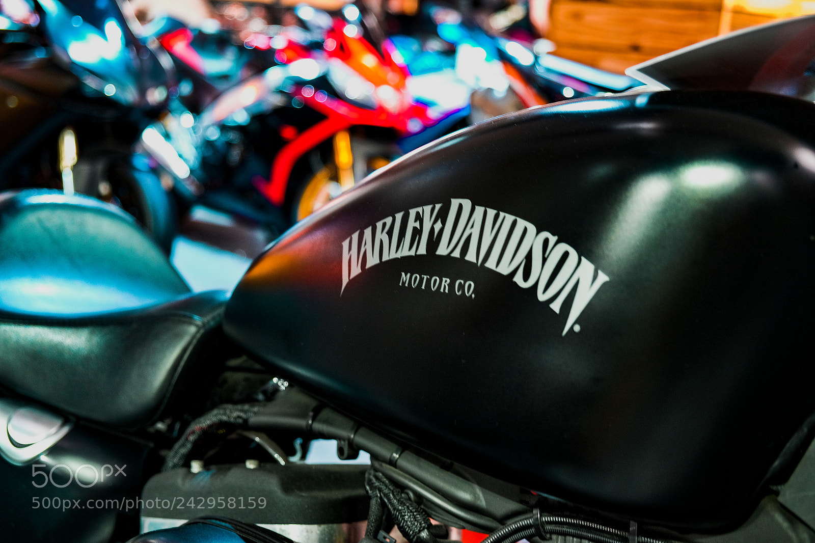 Fujifilm X-T10 sample photo. Dsf photography