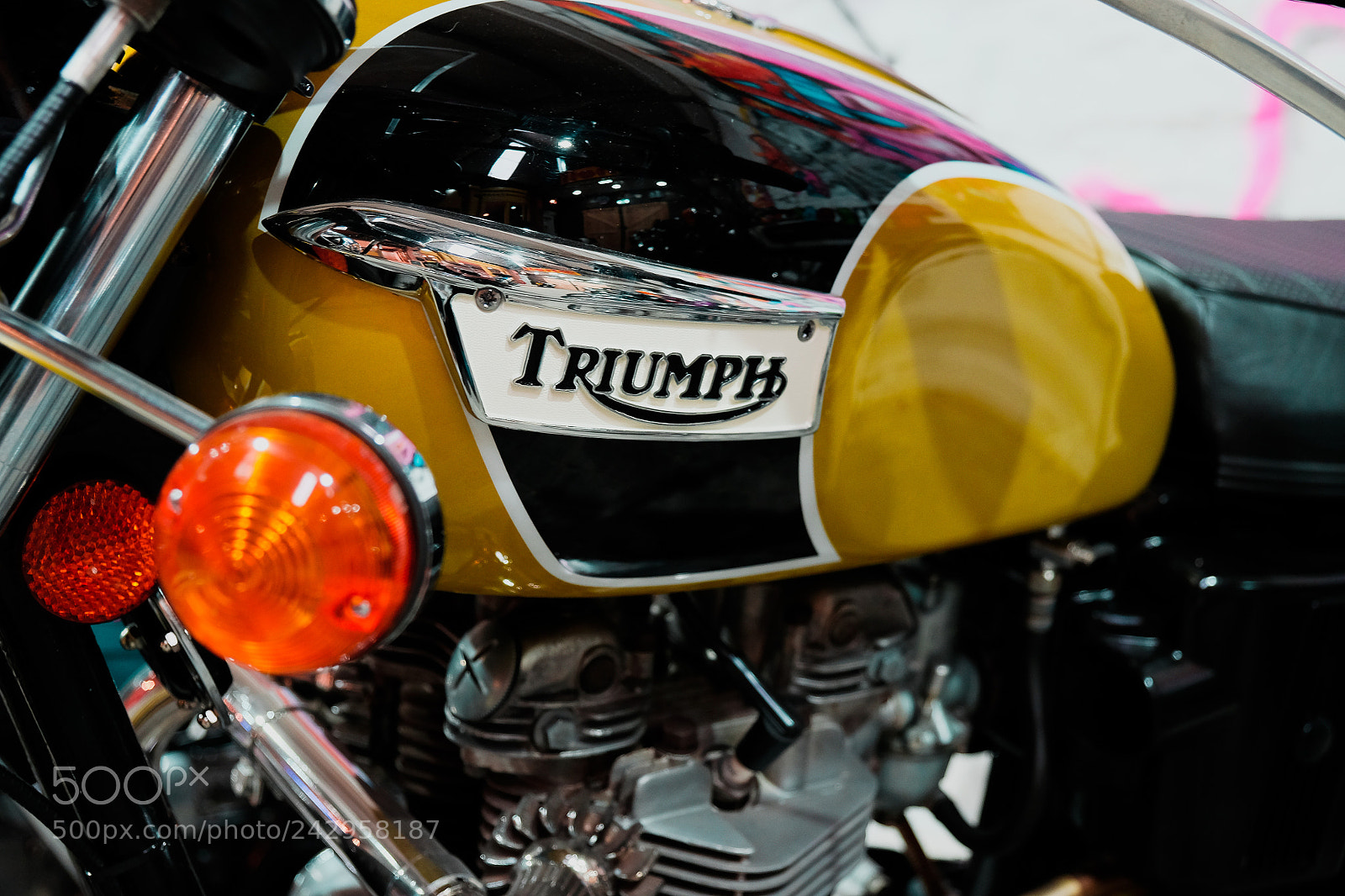 Fujifilm X-T10 sample photo. Dsf photography
