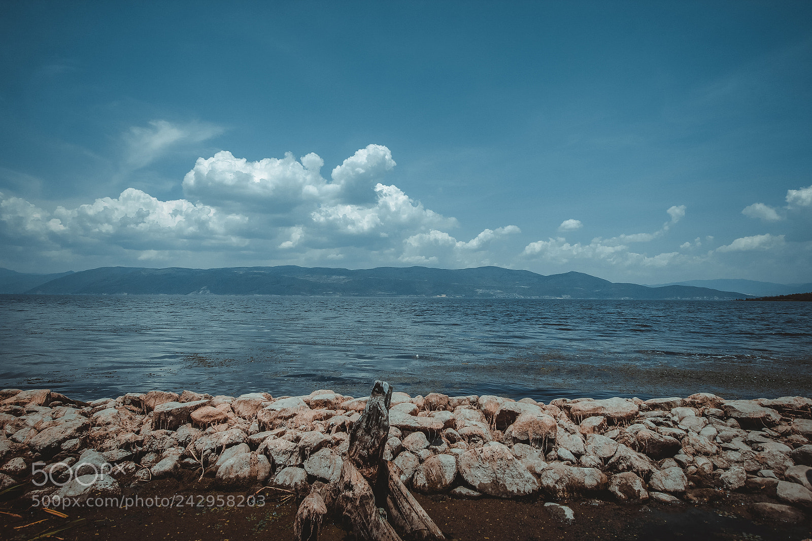 Canon EOS 60D sample photo. The lake photography