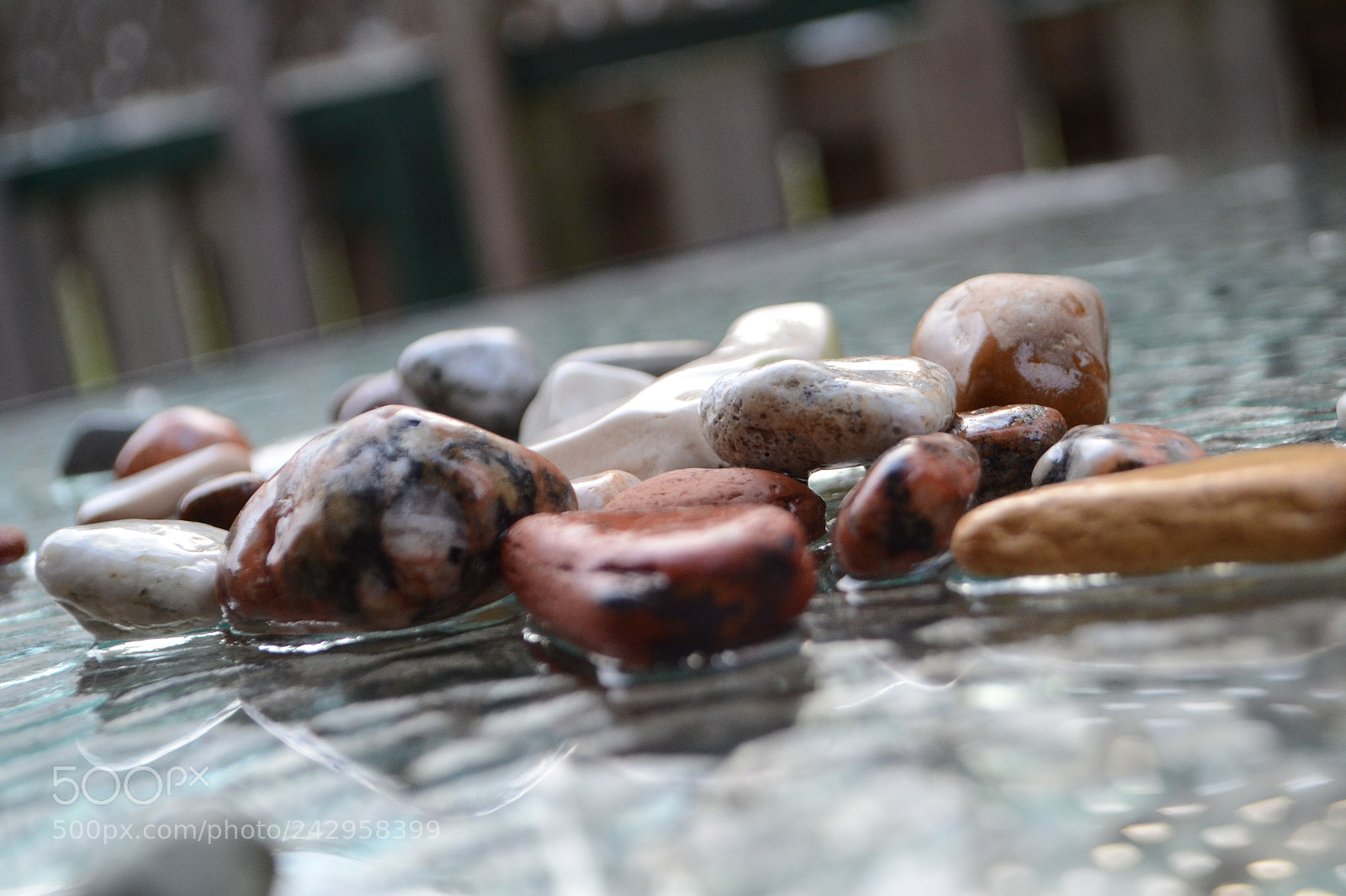 Nikon D3100 sample photo. Shallow depth of field photography