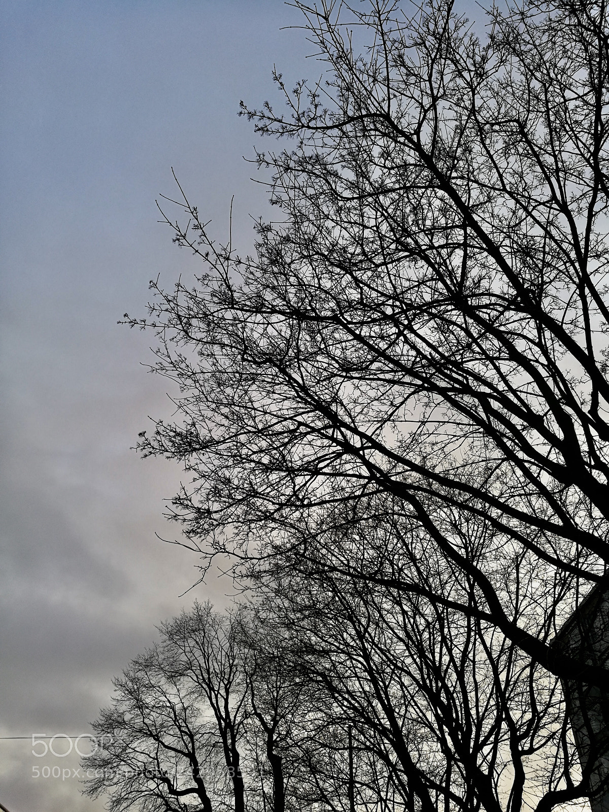 HUAWEI Honor 8 sample photo. Dusk photography
