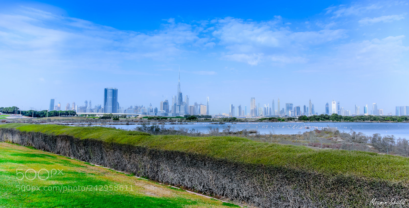 Nikon D7200 sample photo. Dubai photography