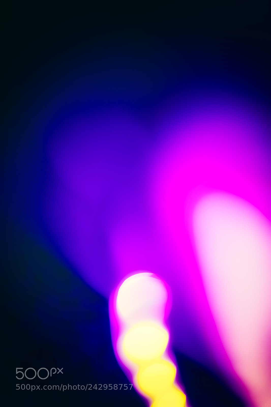Sony a7 II sample photo. Luminary photography