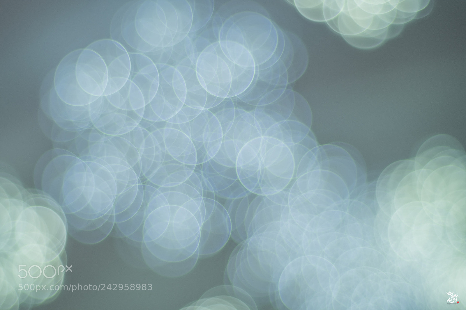 Fujifilm X-T2 sample photo. Winter bokeh photography