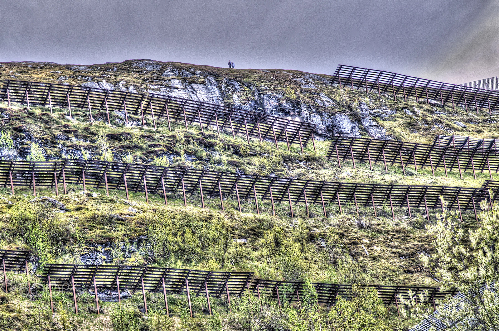 Nikon D300 sample photo. Barriers photography
