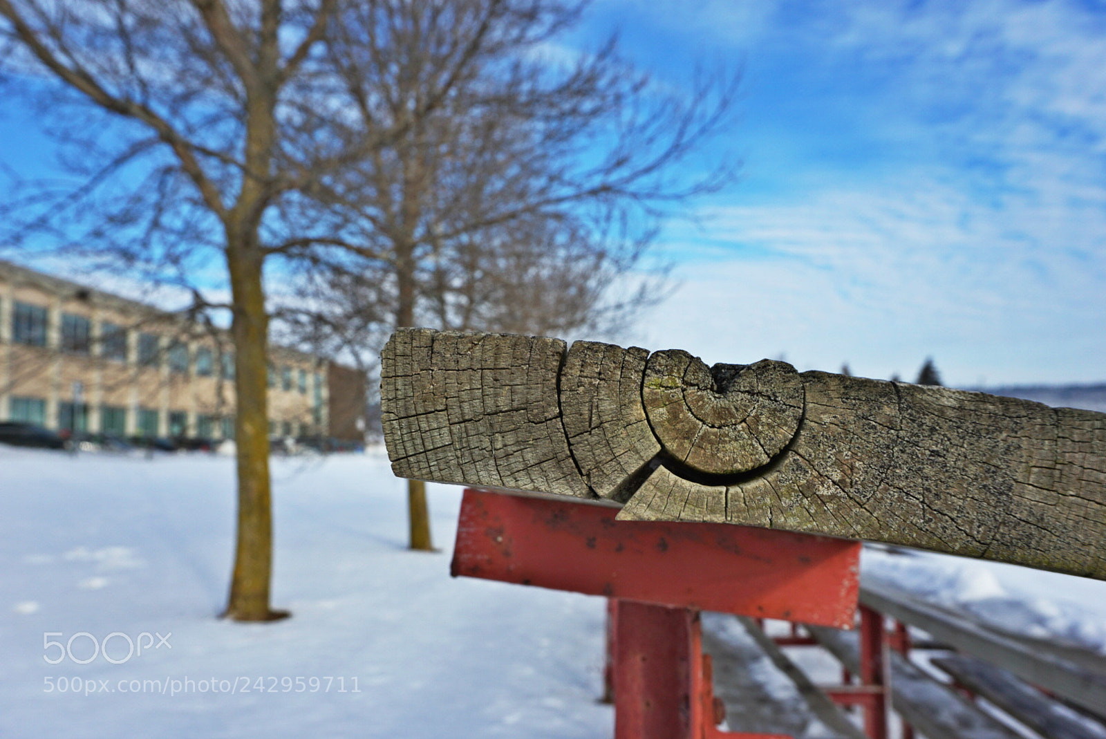 Sony a5100 sample photo. Texture cai photography