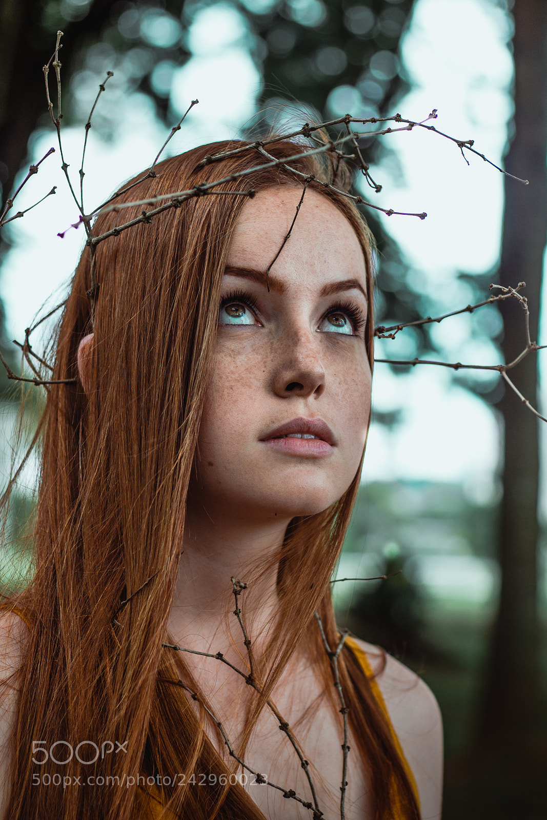 Canon EOS 700D (EOS Rebel T5i / EOS Kiss X7i) sample photo. Elf girl photography