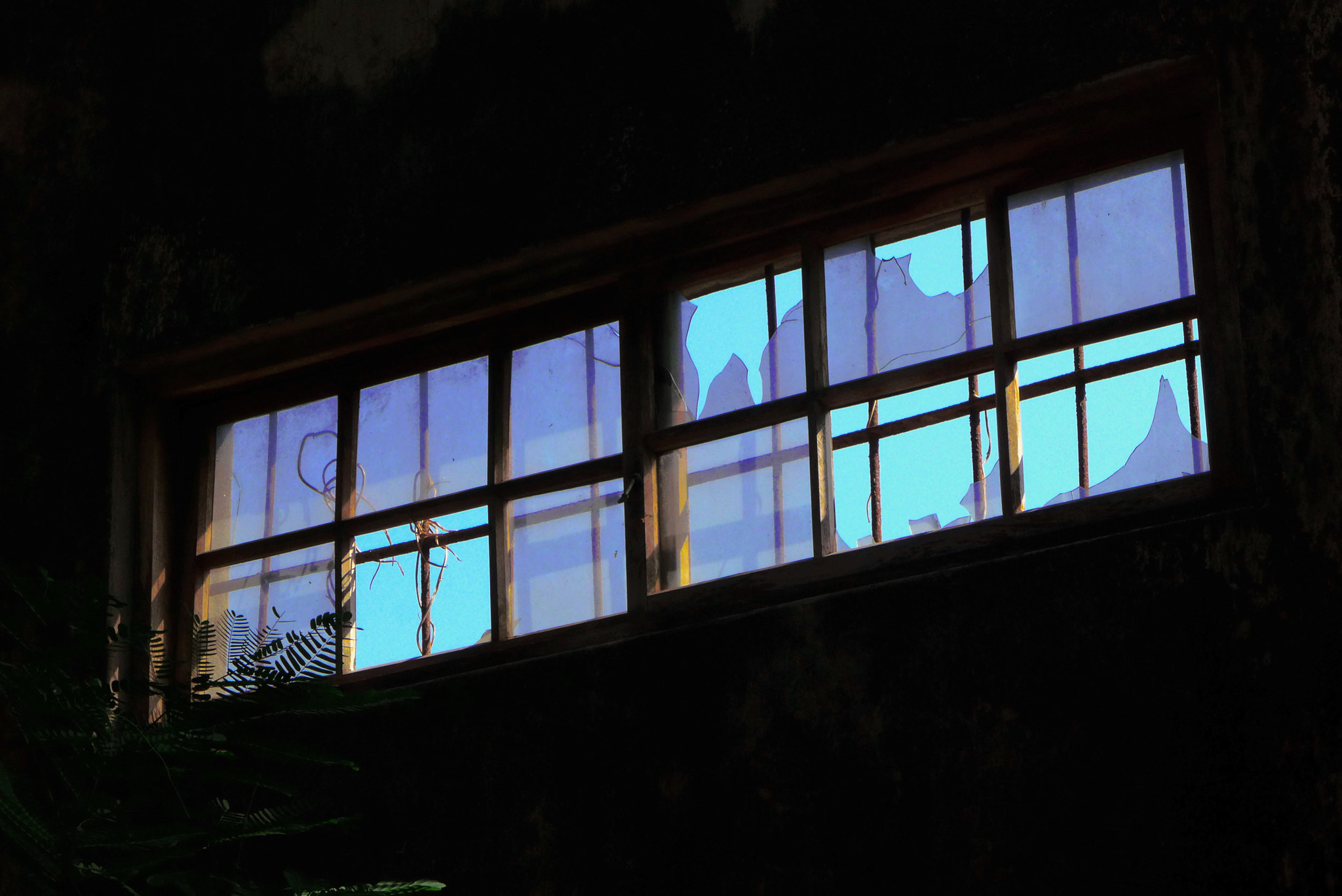 Leica D-Lux 6 sample photo. Scenery on the window photography