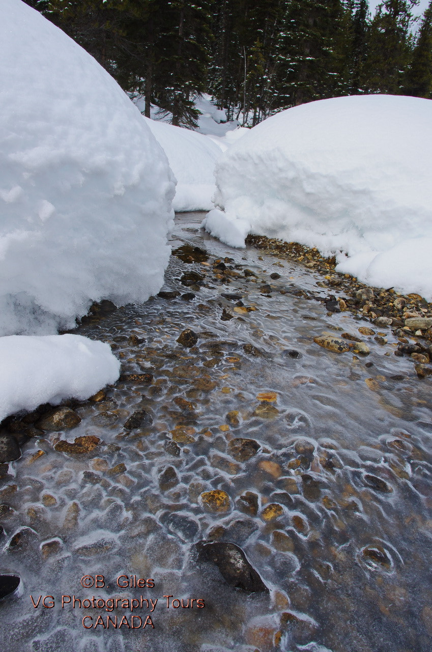 Pentax K-5 IIs sample photo. The stream's path photography