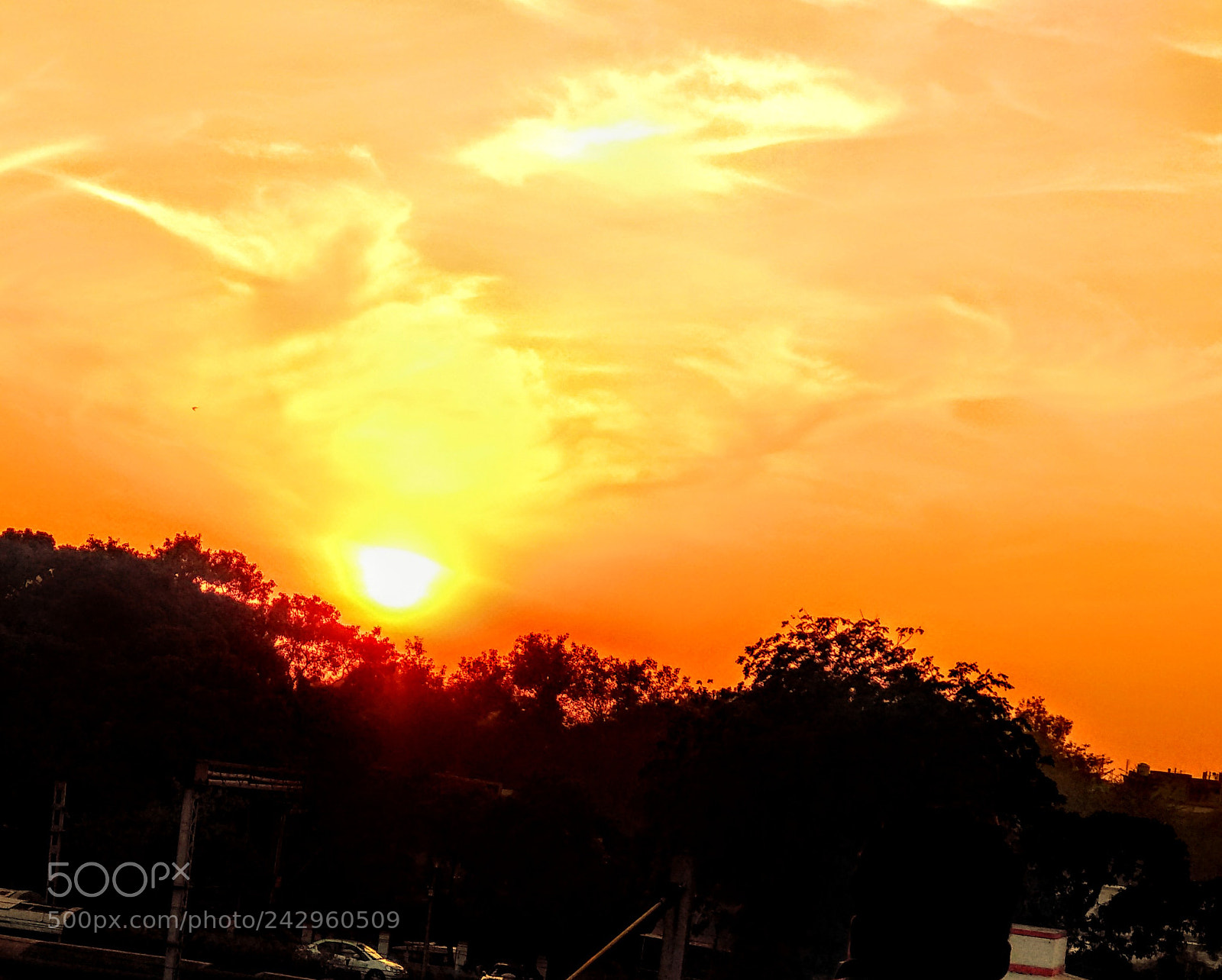Xiaomi Mi A1 sample photo. Untitled photography
