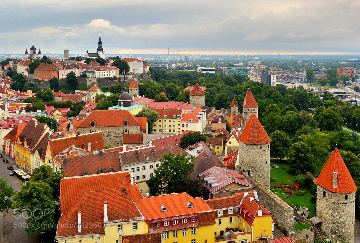 Nikon D3100 sample photo. A tallinn view photography