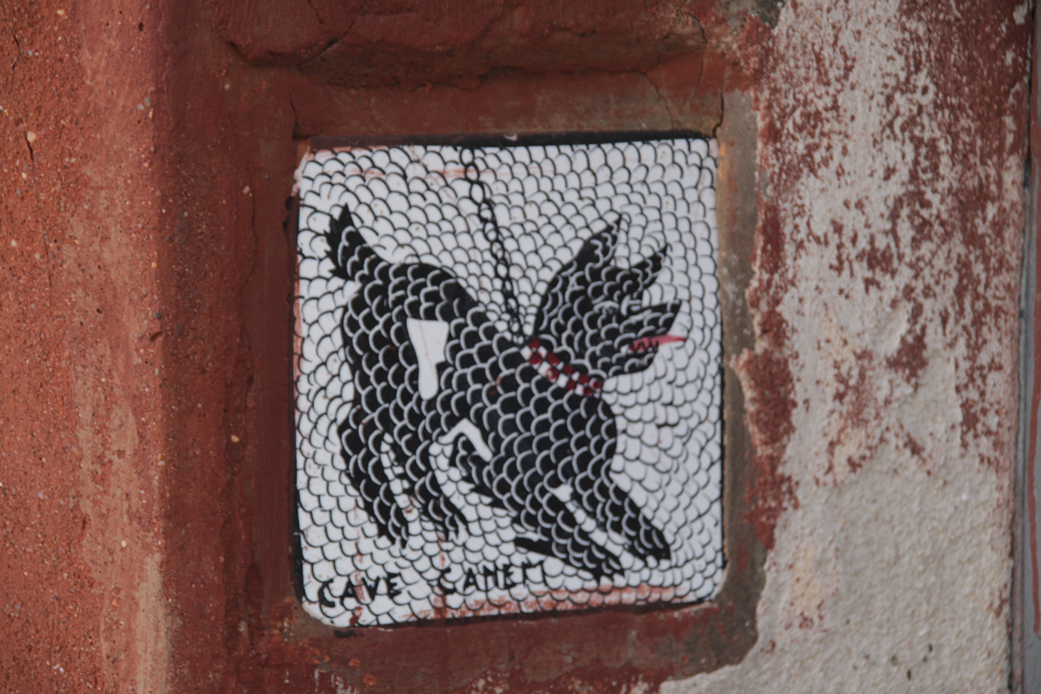 Sigma 18-200mm f/3.5-6.3 DC OS sample photo. Cave canem photography
