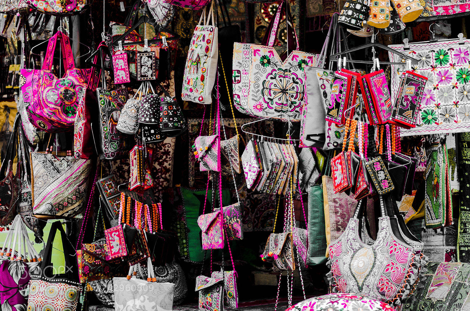 Nikon D5100 sample photo. So many choices photography