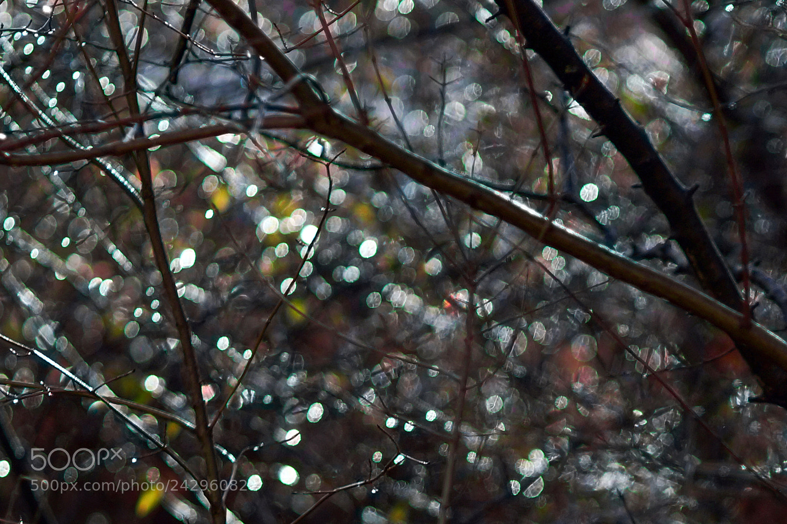 Sony Alpha NEX-7 sample photo. Sonnenblicke photography