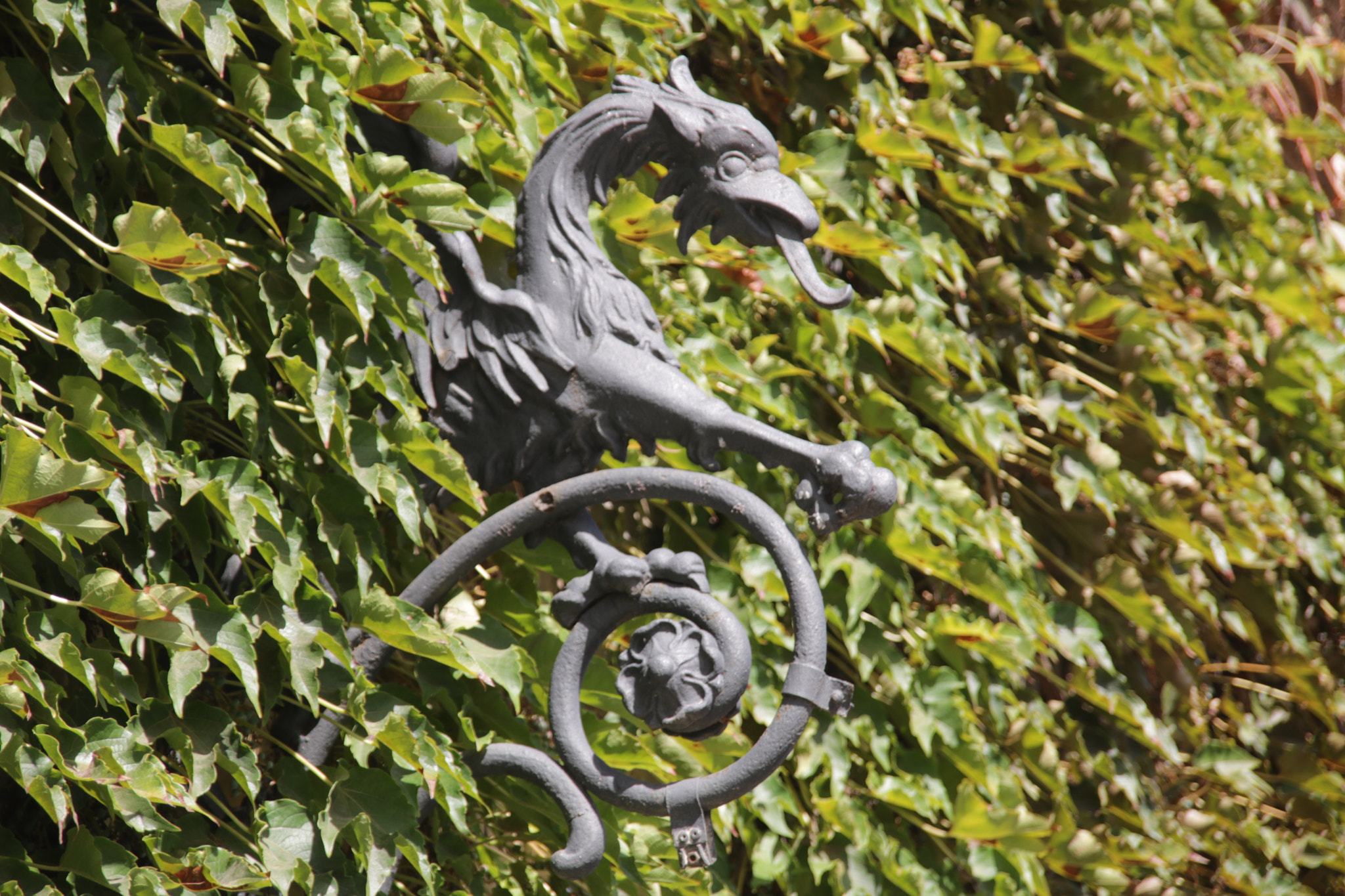 Sigma 18-200mm f/3.5-6.3 DC OS sample photo. A dragon emerges photography