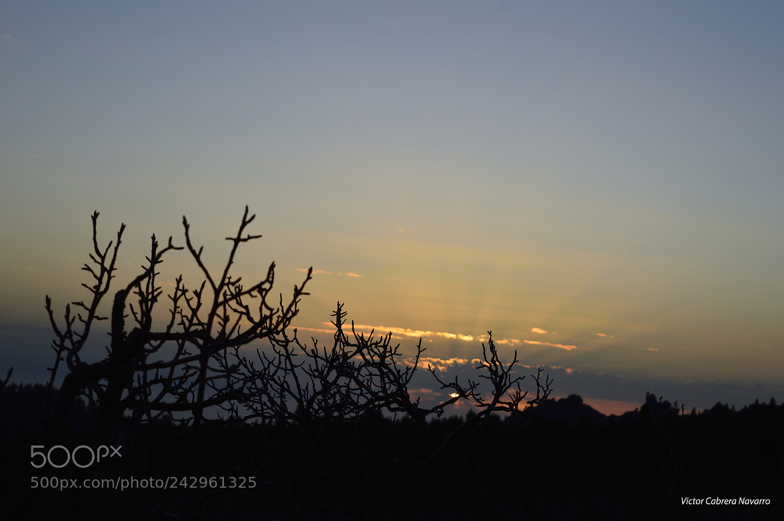 Nikon D3200 sample photo. Desde los llanos de photography