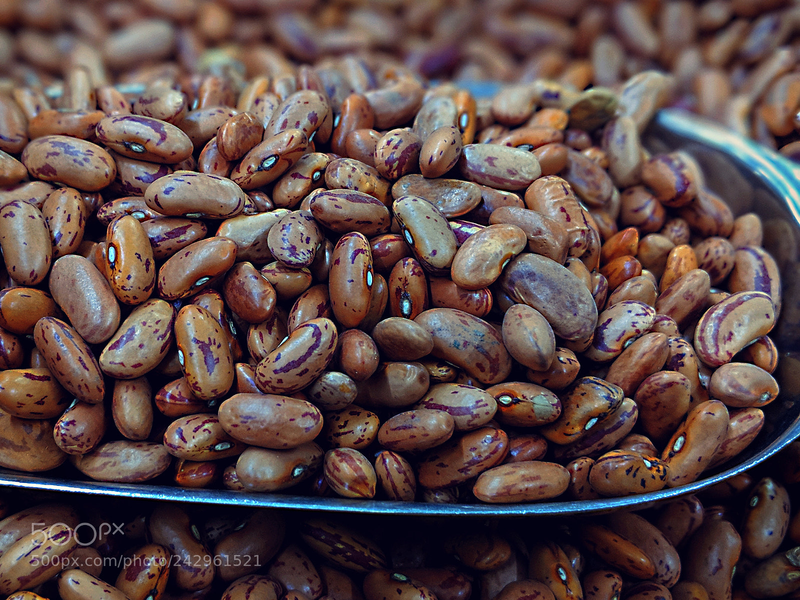 Google Pixel 2 XL sample photo. Kidney beans photography
