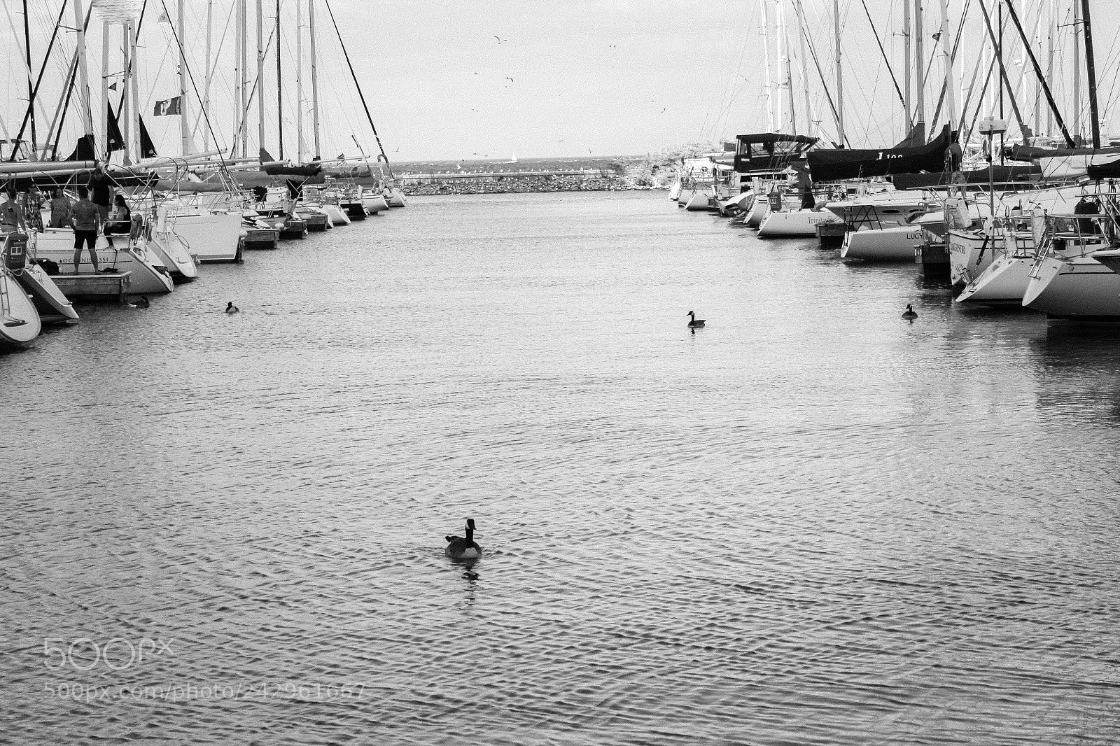 Canon EOS 1200D (EOS Rebel T5 / EOS Kiss X70 / EOS Hi) sample photo. Michigan lake photography