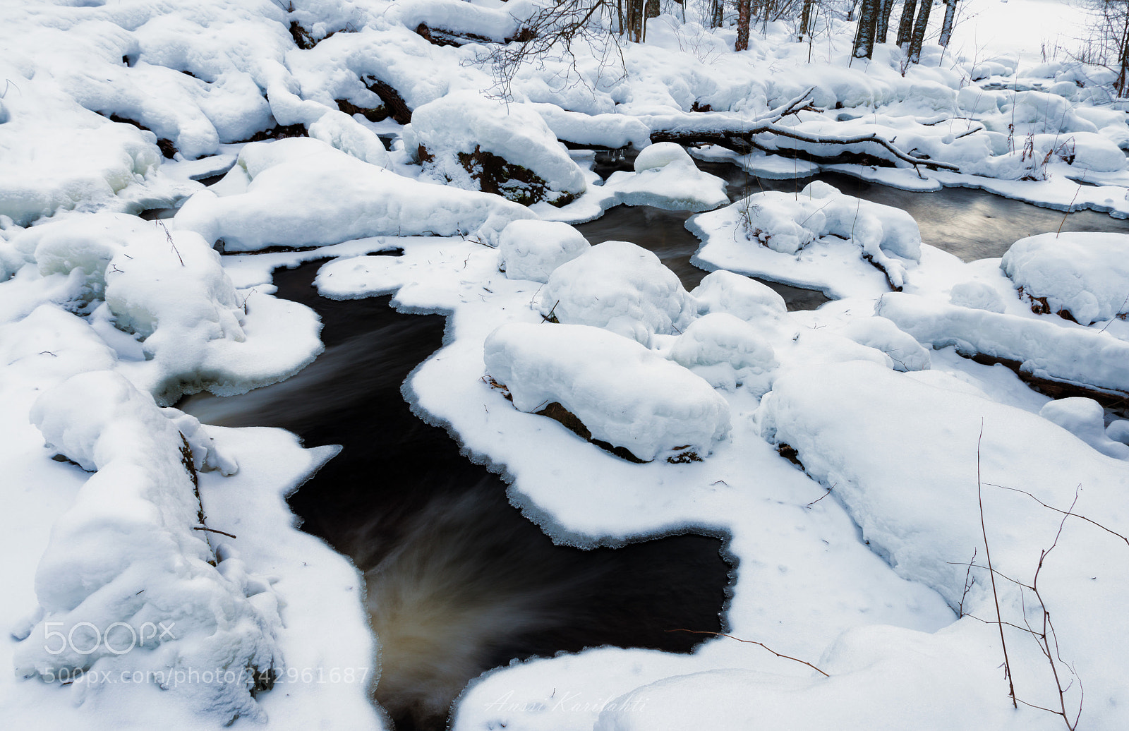 Nikon D600 sample photo. Under snow photography