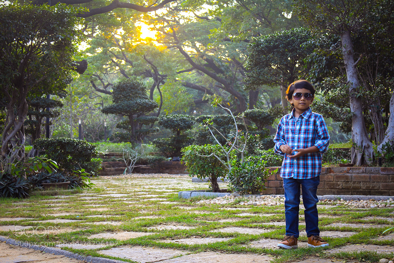 Canon EOS 650D (EOS Rebel T4i / EOS Kiss X6i) sample photo. Sunlight shot photography
