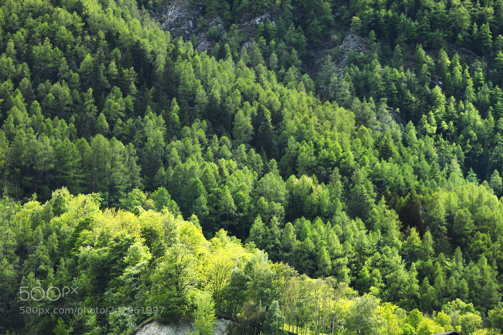 Canon EOS 500D (EOS Rebel T1i / EOS Kiss X3) sample photo. Zermatt, switzerland photography