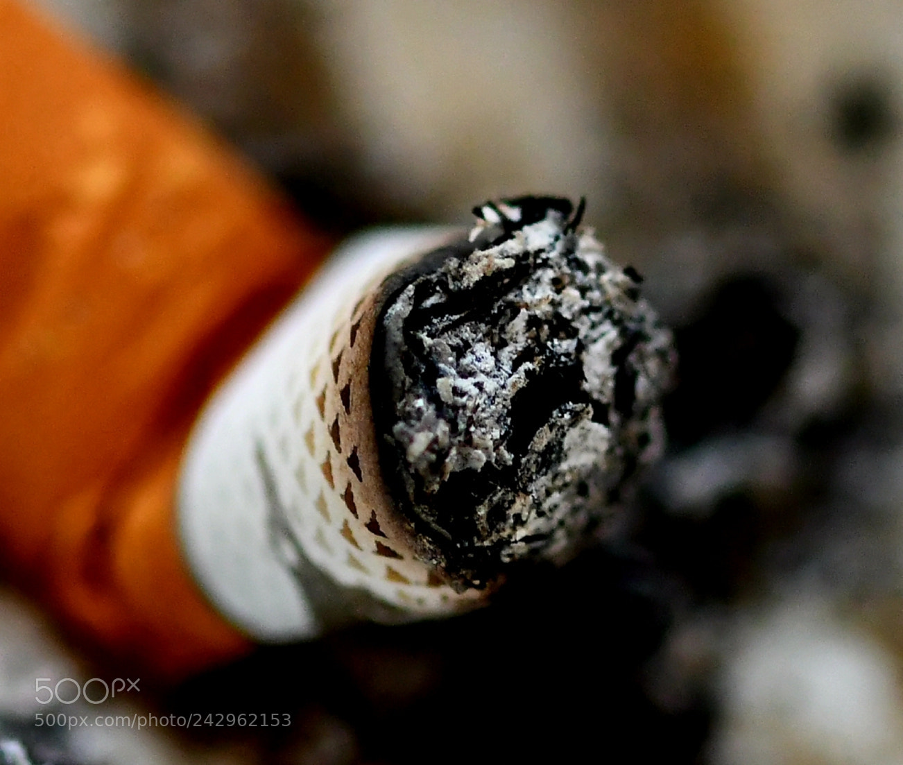 Nikon D7500 sample photo. Untitled photography