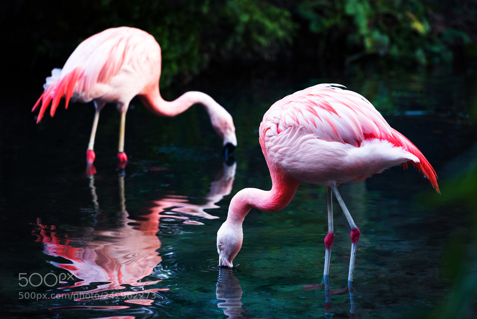 Nikon D810 sample photo. Be vivid. be like photography