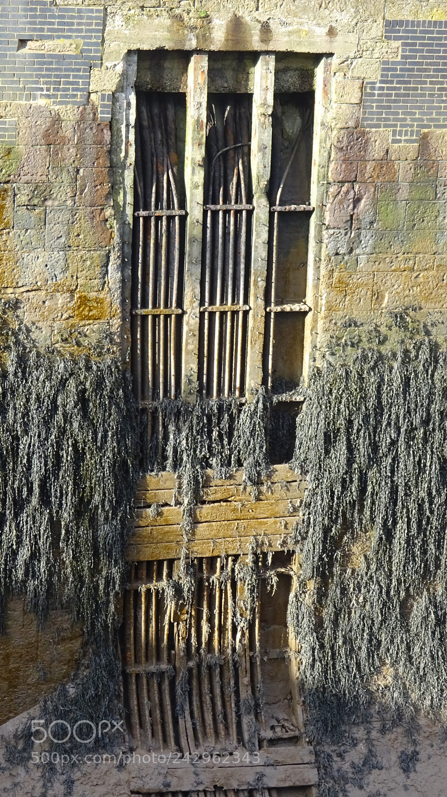 Sony Cyber-shot DSC-WX350 sample photo. The water outlet photography