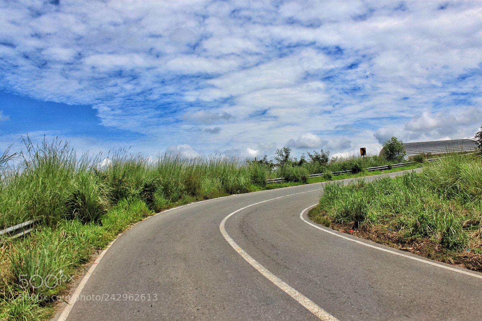 Canon EOS 500D (EOS Rebel T1i / EOS Kiss X3) sample photo. The curve photography