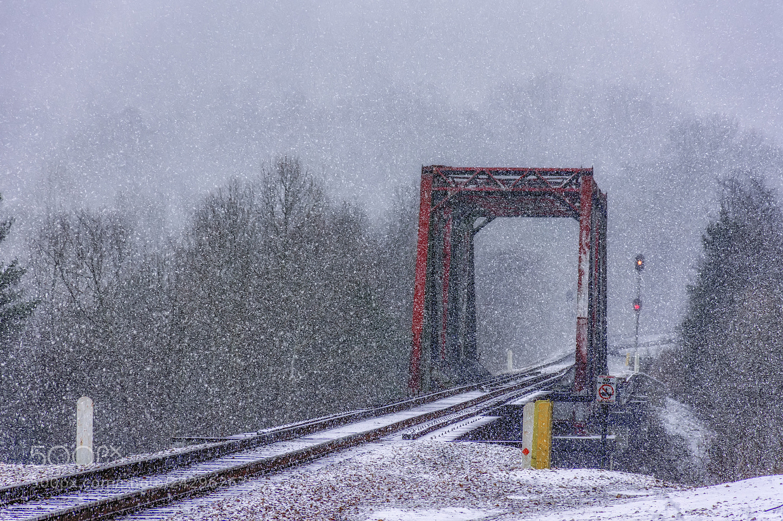 Nikon D7200 sample photo. Tracks in the snow photography