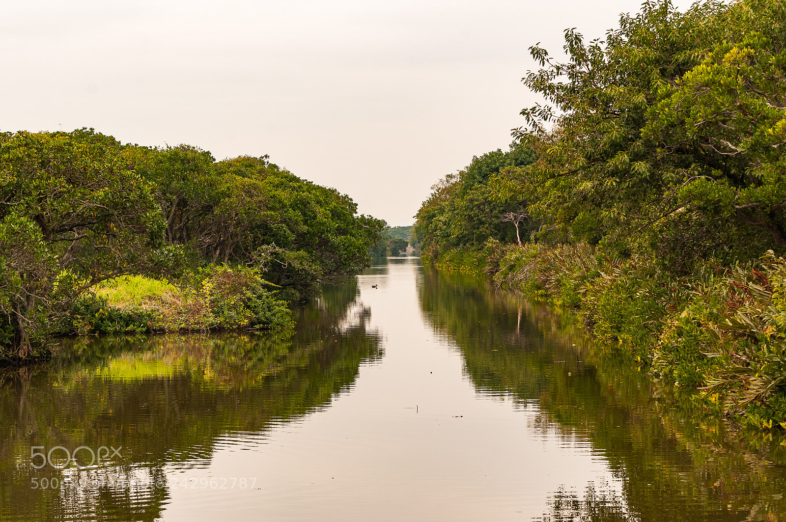 Nikon D300S sample photo. *** photography
