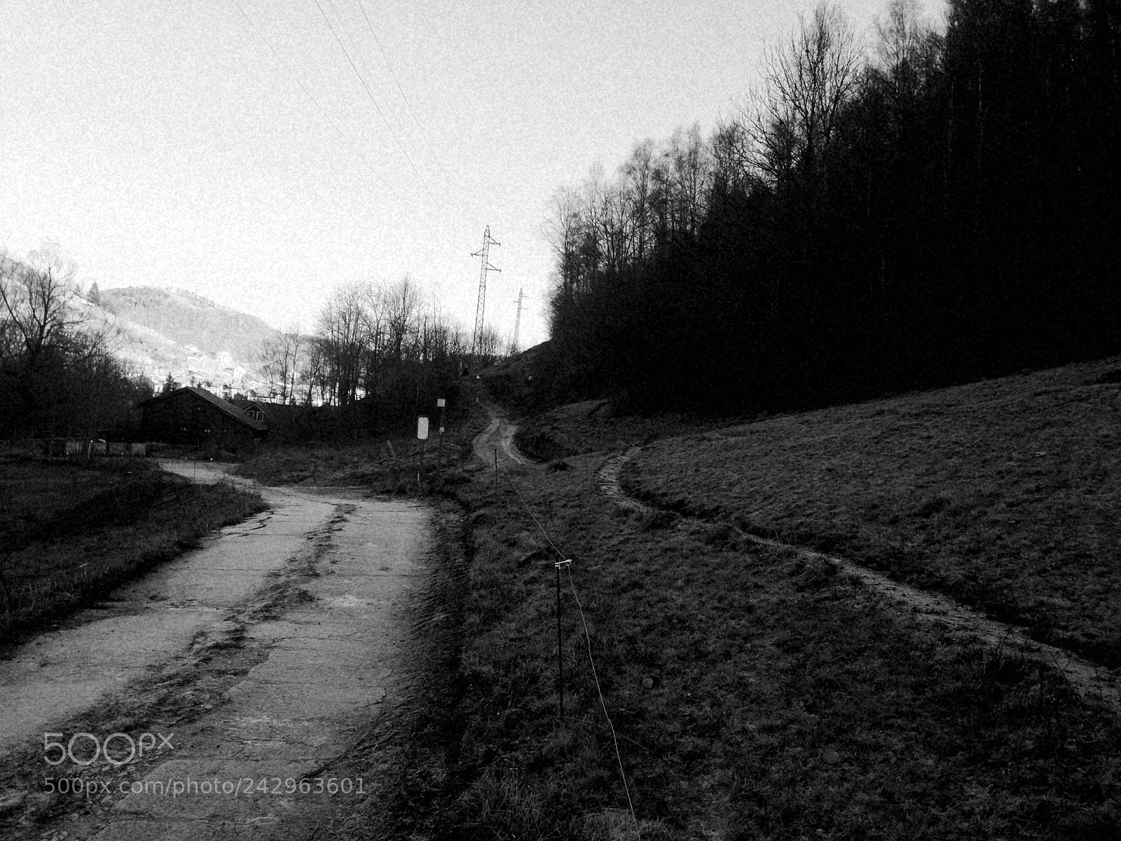HUAWEI P9 LITE sample photo. Untitled photography