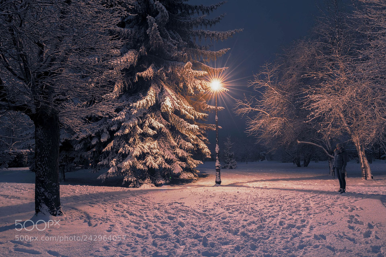 Nikon D7100 sample photo. Winter photography