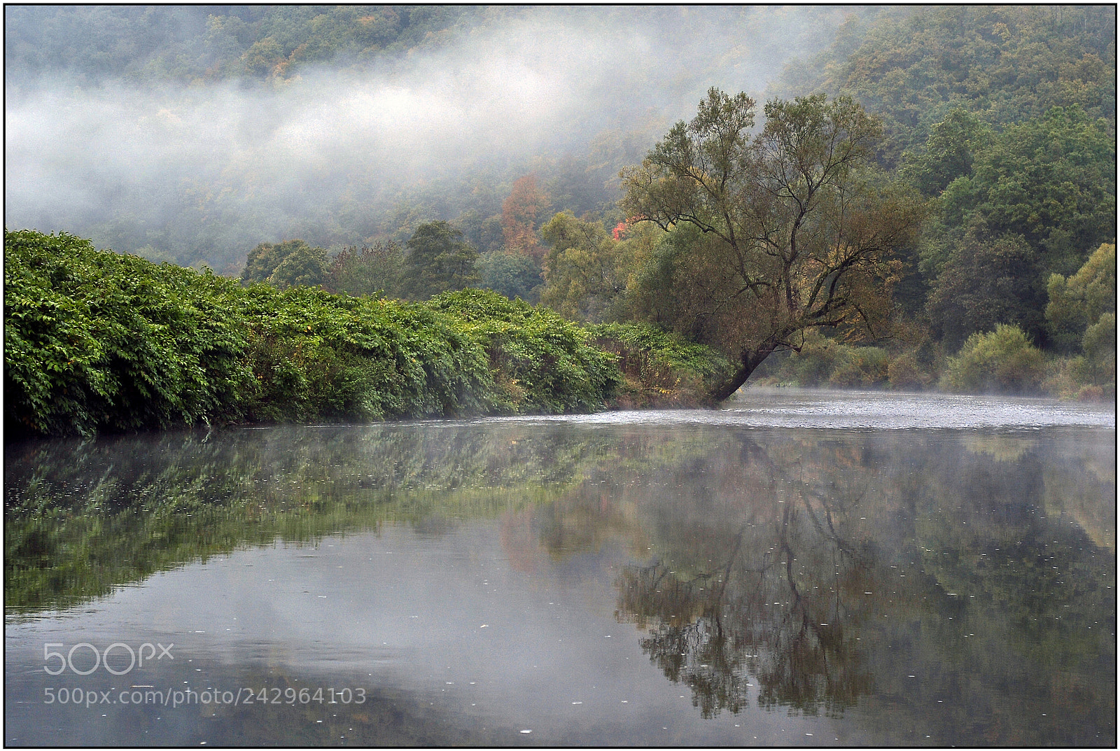 Nikon D3000 sample photo. The most beautiful moments photography
