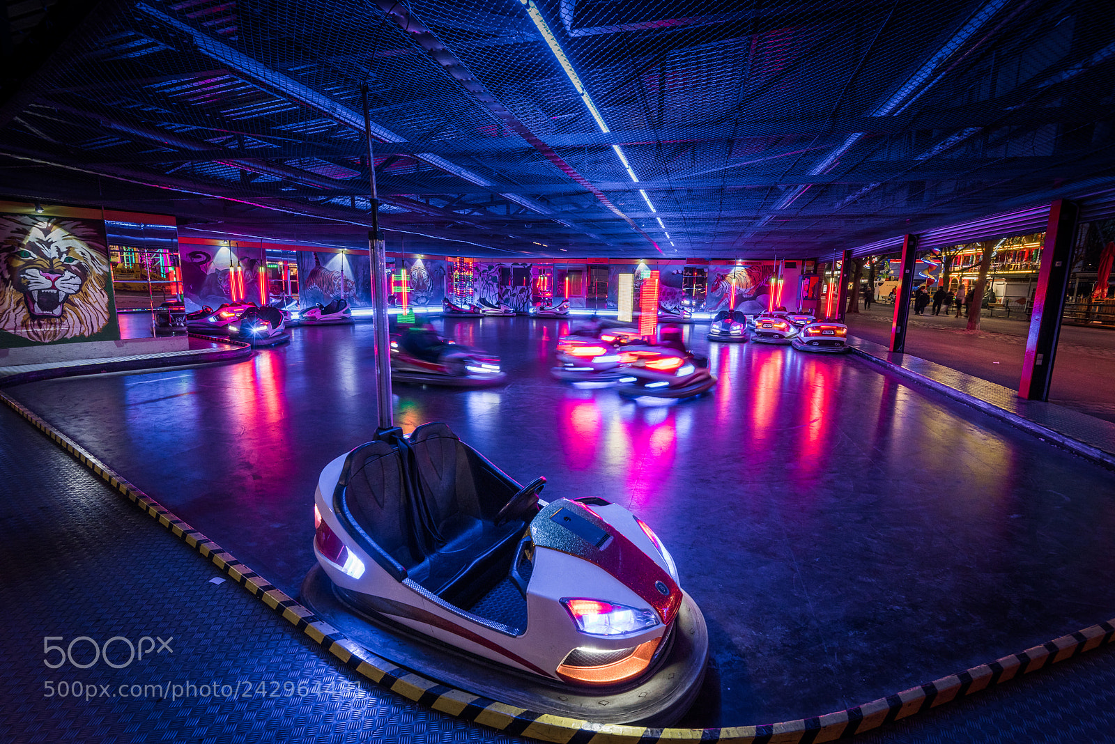 Nikon D810 sample photo. A fun drive photography