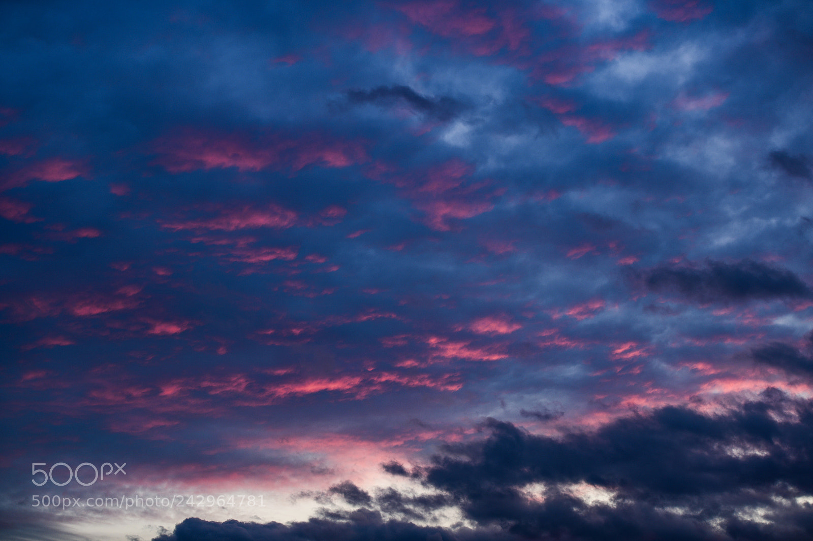 Nikon D850 sample photo. In love with sky photography