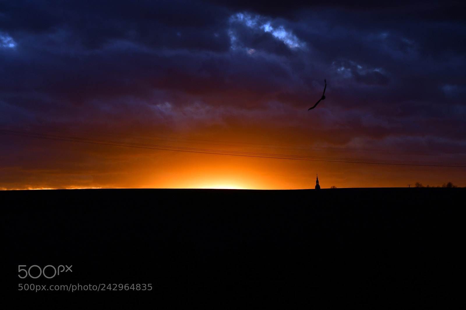 Nikon D500 sample photo. Horizon on fire photography