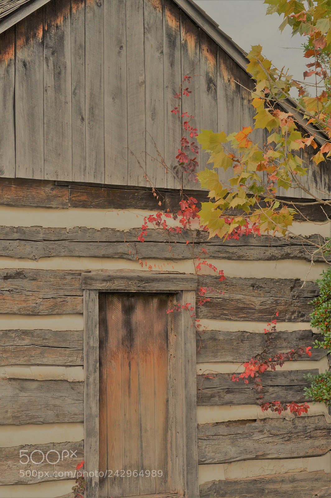Nikon D3200 sample photo. () photography