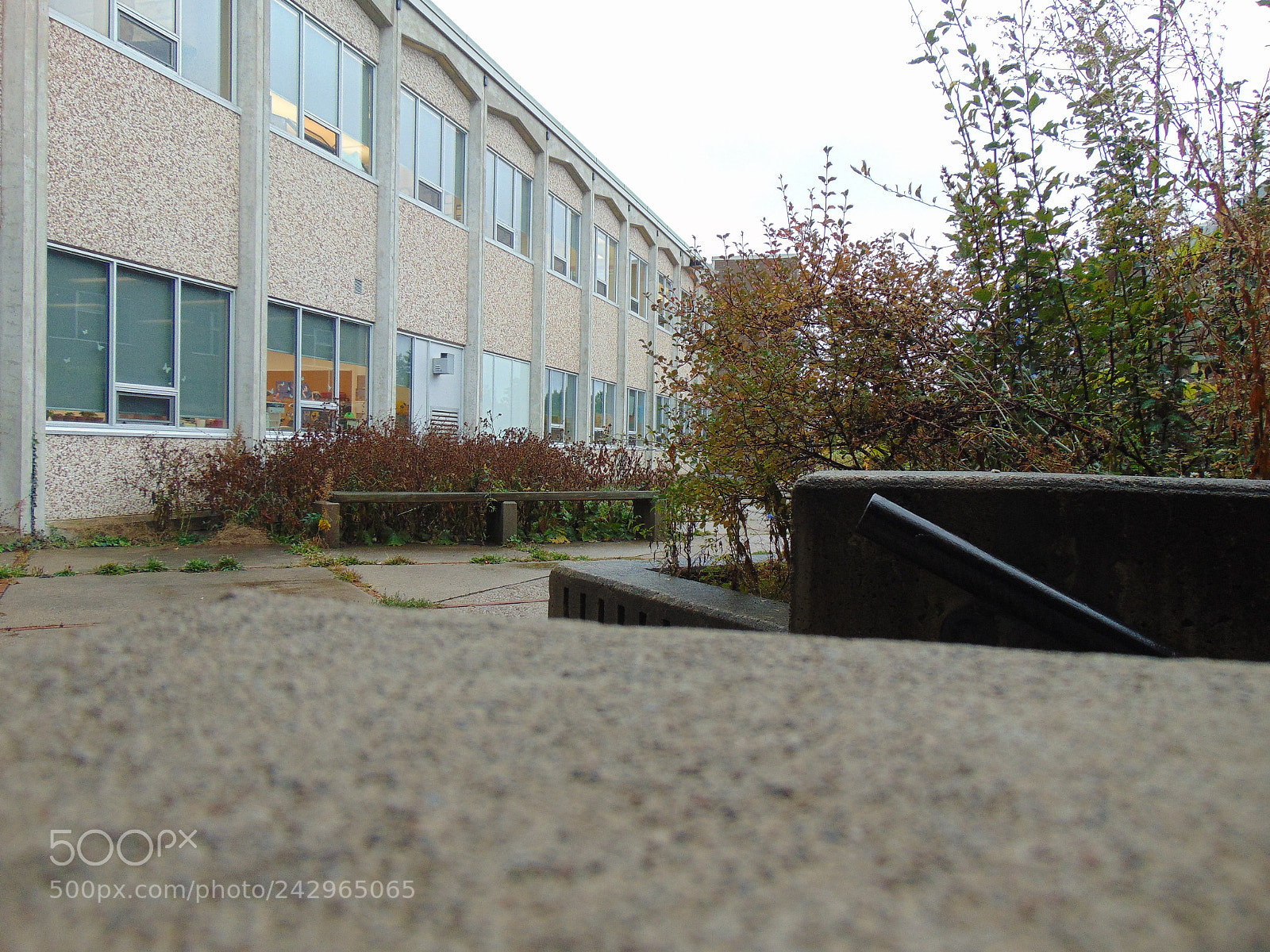 Sony Cyber-shot DSC-H300 sample photo. School photography