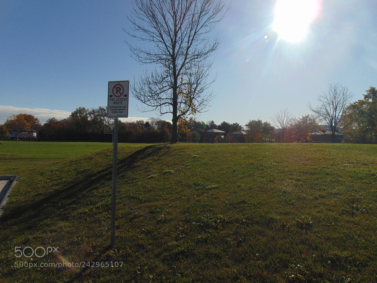 Sony Cyber-shot DSC-H300 sample photo. While the sun still photography