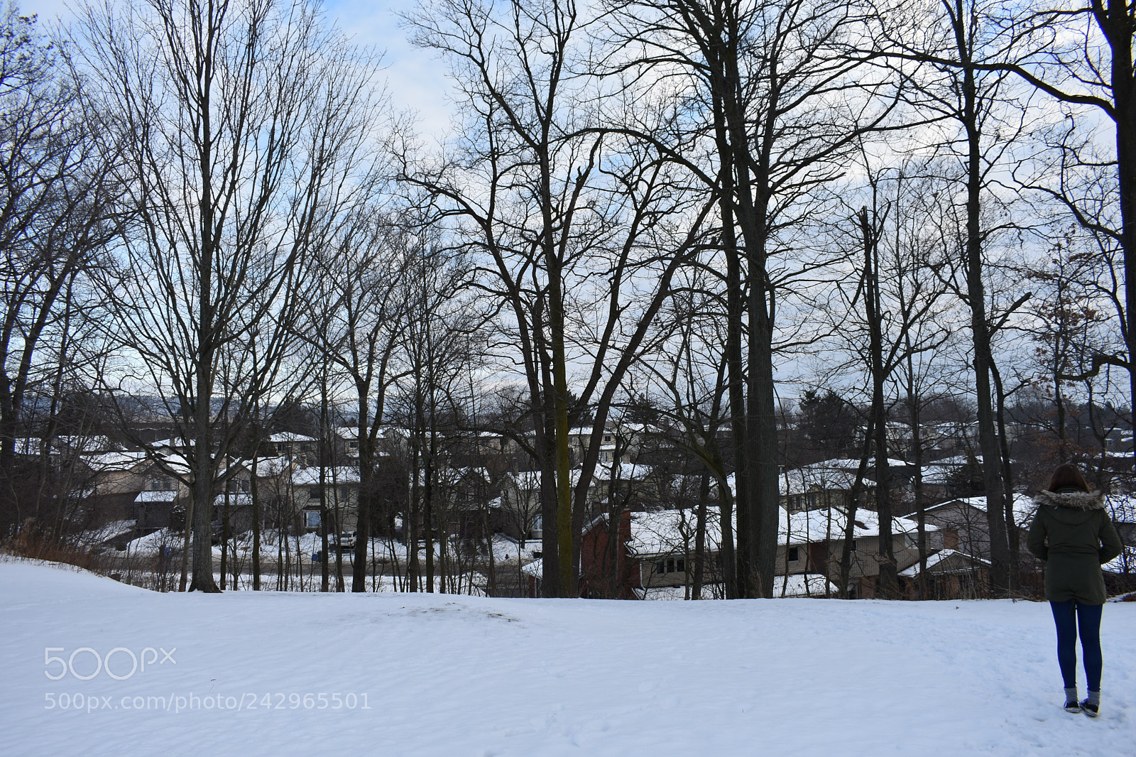 Nikon D3400 sample photo. Girl in the snow photography