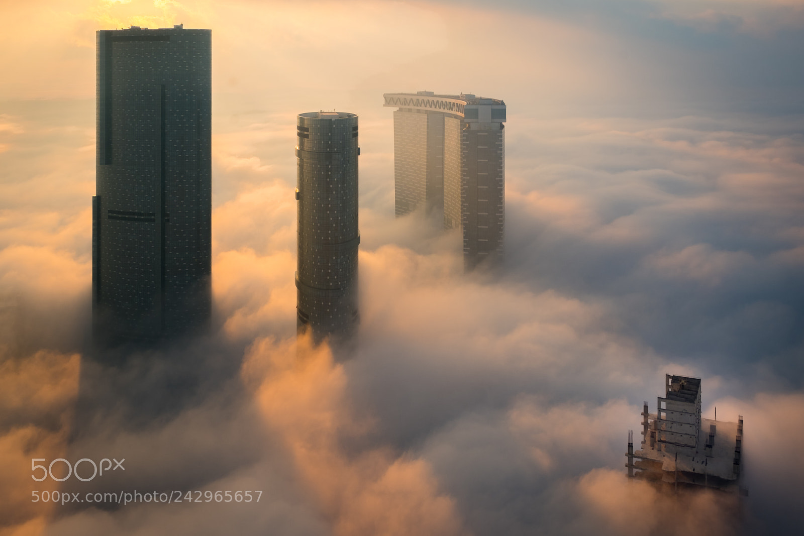 Fujifilm X-T2 sample photo. Reem fog photography