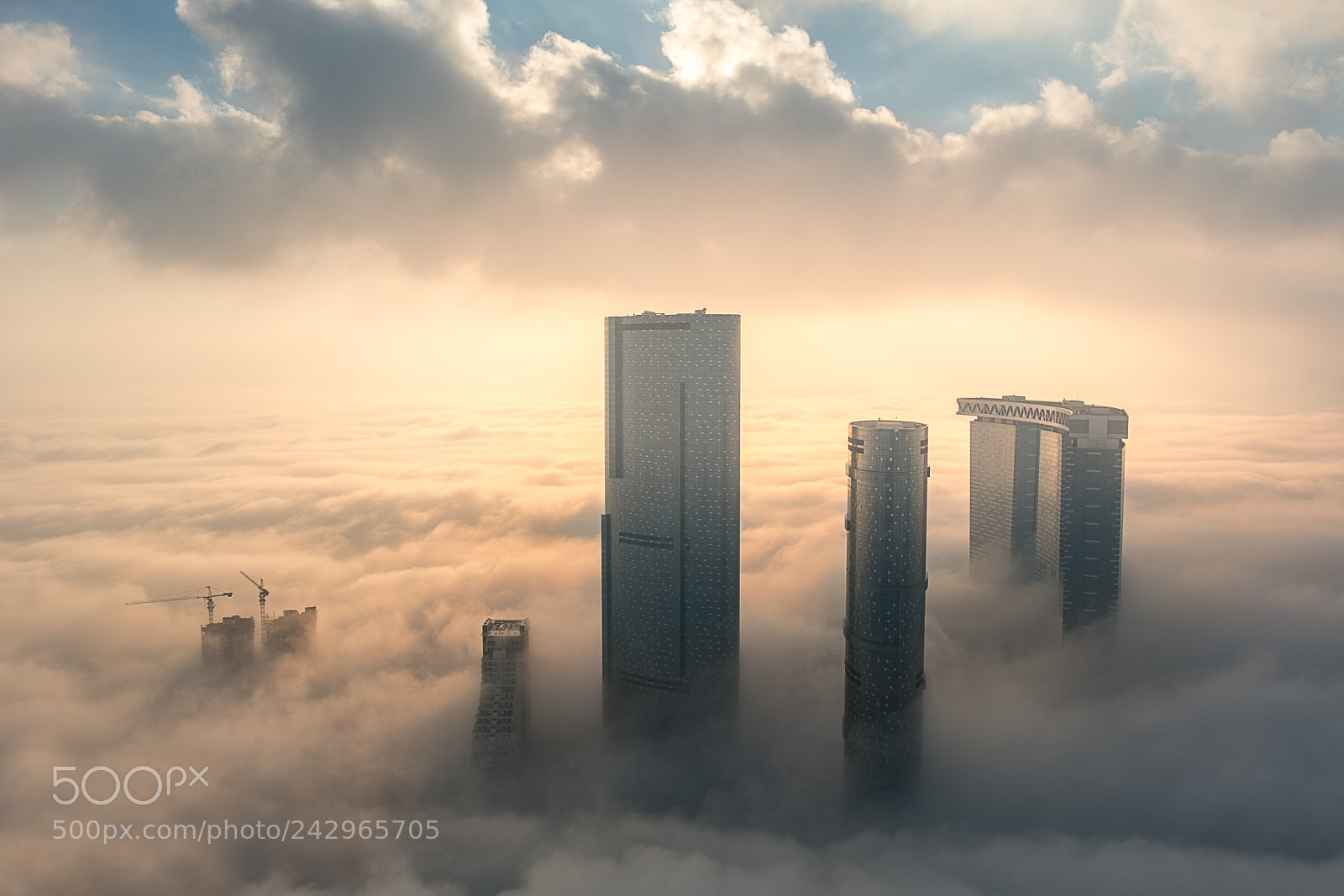 Fujifilm X-T2 sample photo. Reem fog photography