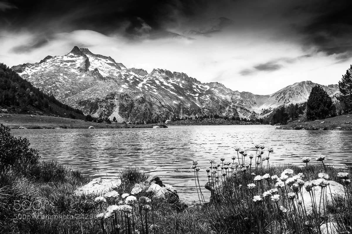 Nikon D5500 sample photo. Lake in black 5 photography