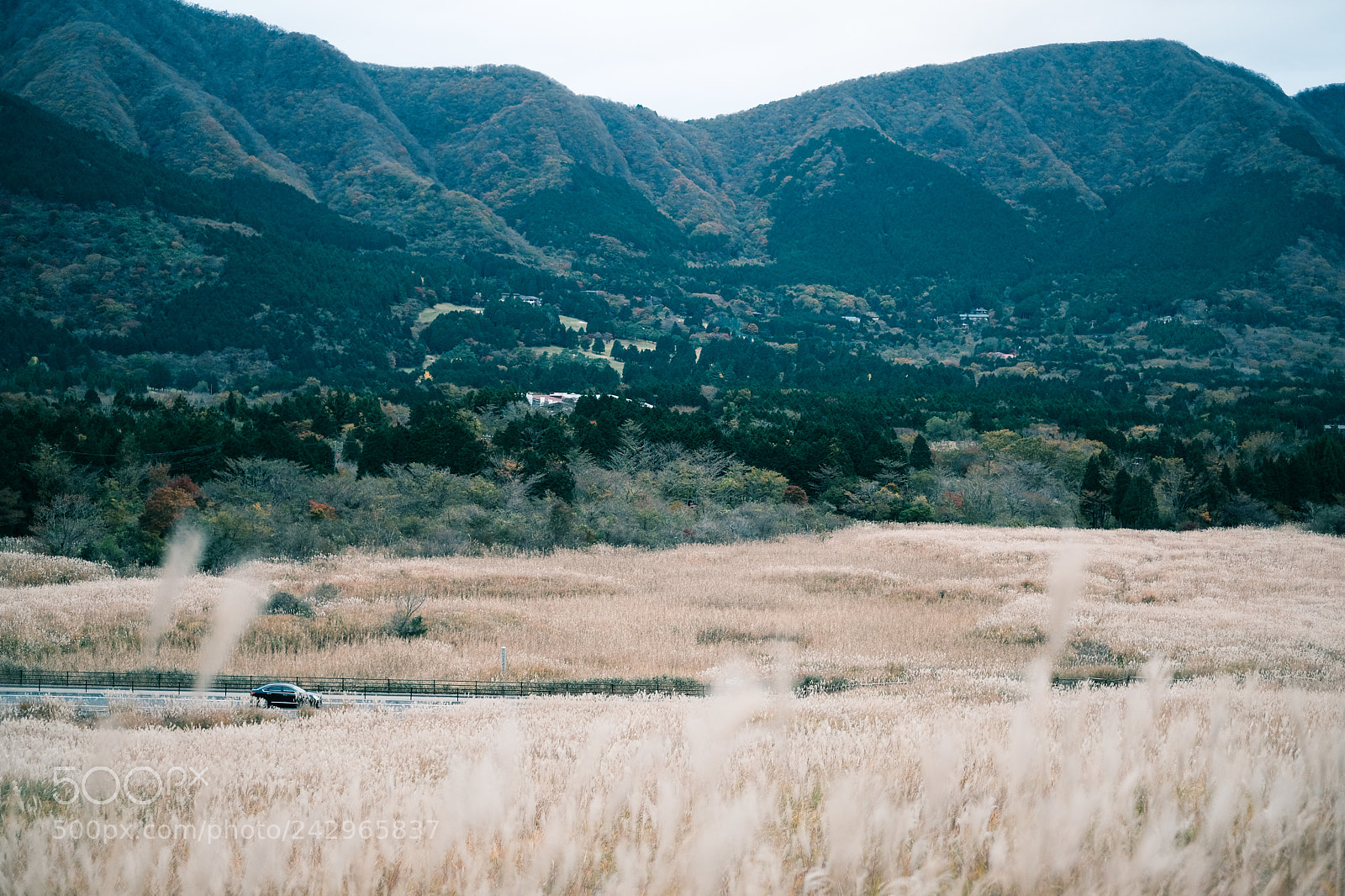 Fujifilm X-Pro2 sample photo. Scenery photography