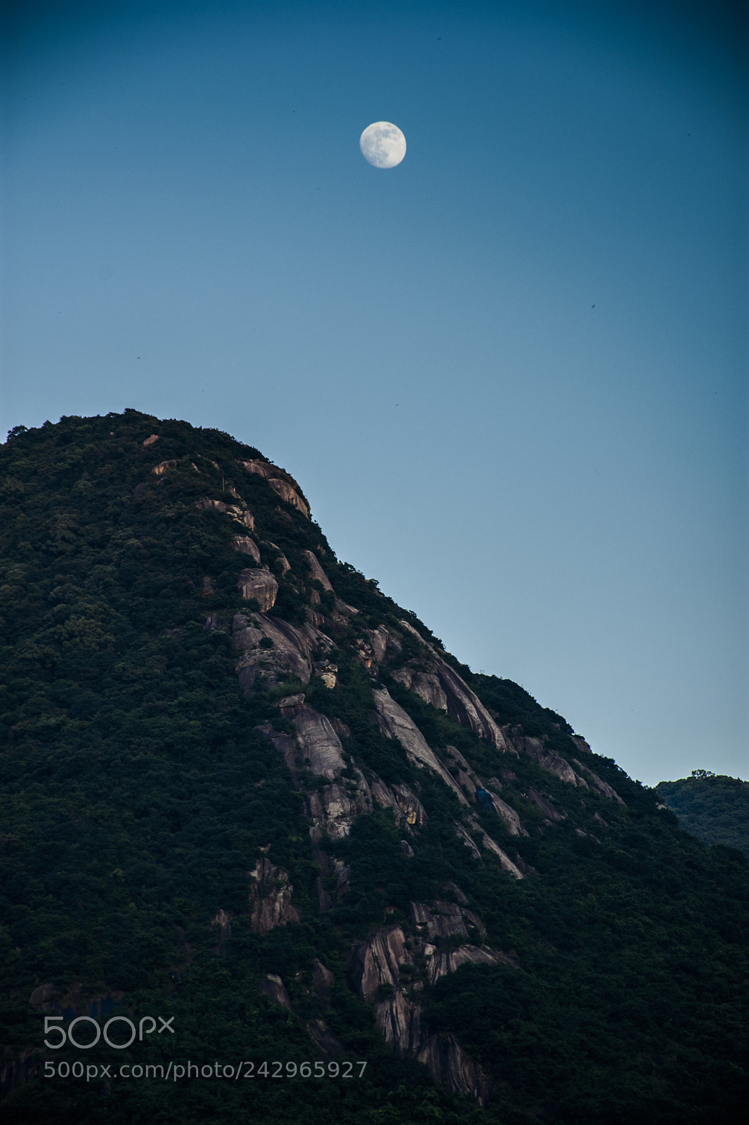 Nikon D7200 sample photo. Moonlight photography