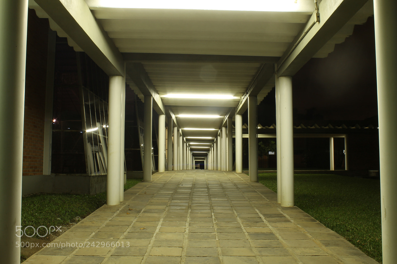 Canon EOS 1100D (EOS Rebel T3 / EOS Kiss X50) sample photo. Night photography photography
