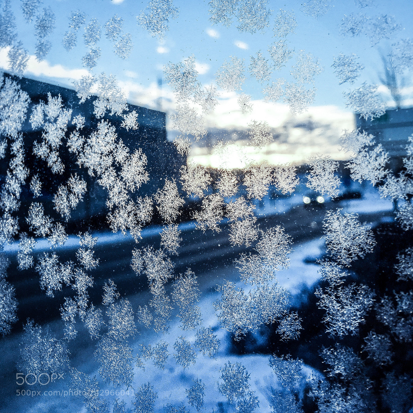 Apple iPhone SE sample photo. Icecrystals on a glass photography