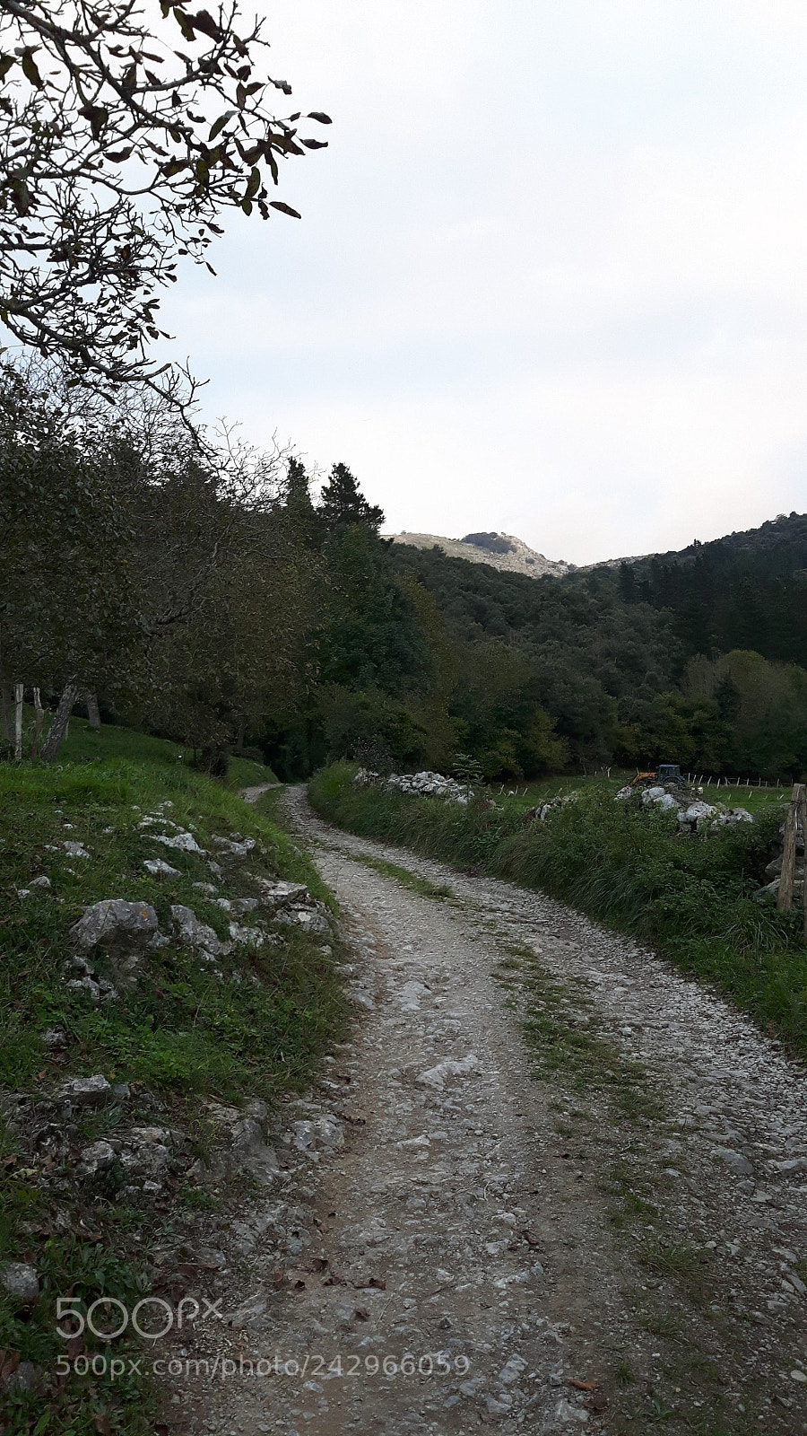Samsung Galaxy S5 Neo sample photo. Camino rural photography